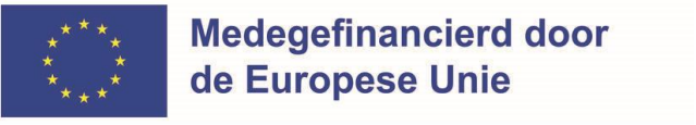 Europese vlag met tekst: Medegefinancierd door de Europese Unie